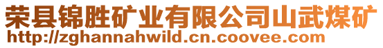 榮縣錦勝礦業(yè)有限公司山武煤礦