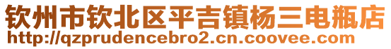 欽州市欽北區(qū)平吉鎮(zhèn)楊三電瓶店