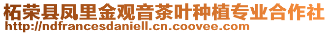 柘榮縣鳳里金觀音茶葉種植專業(yè)合作社