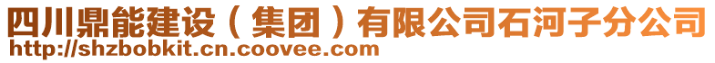 四川鼎能建設（集團）有限公司石河子分公司