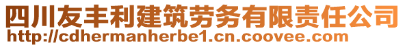 四川友豐利建筑勞務(wù)有限責(zé)任公司