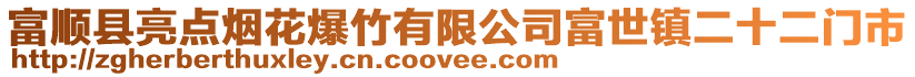 富順縣亮點煙花爆竹有限公司富世鎮二十二門市