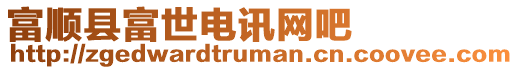 富順縣富世電訊網吧