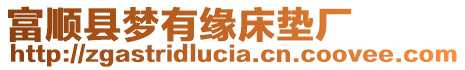 富順縣夢有緣床墊廠