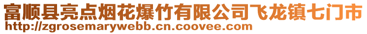 富順縣亮點煙花爆竹有限公司飛龍鎮七門市