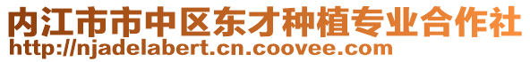 内江市市中区东才种植专业合作社