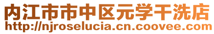 内江市市中区元学干洗店