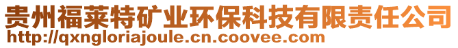 貴州福萊特礦業(yè)環(huán)?？萍加邢挢?zé)任公司