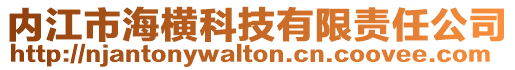 內(nèi)江市海橫科技有限責(zé)任公司