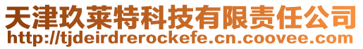 天津玖萊特科技有限責(zé)任公司