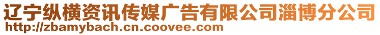 遼寧縱橫資訊傳媒廣告有限公司淄博分公司