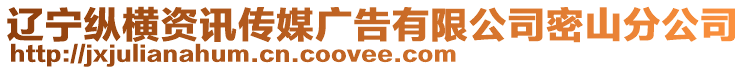 遼寧縱橫資訊傳媒廣告有限公司密山分公司