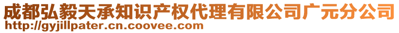 成都弘毅天承知識產(chǎn)權(quán)代理有限公司廣元分公司