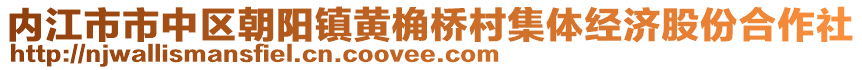 內(nèi)江市市中區(qū)朝陽鎮(zhèn)黃桷橋村集體經(jīng)濟(jì)股份合作社