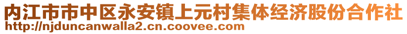 内江市市中区永安镇上元村集体经济股份合作社