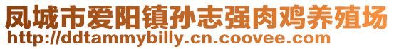 鳳城市愛陽(yáng)鎮(zhèn)孫志強(qiáng)肉雞養(yǎng)殖場(chǎng)