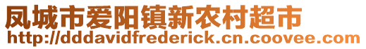 鳳城市愛陽鎮(zhèn)新農(nóng)村超市