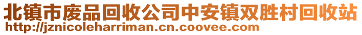 北鎮(zhèn)市廢品回收公司中安鎮(zhèn)雙勝村回收站