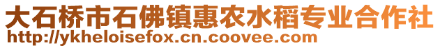 大石橋市石佛鎮(zhèn)惠農(nóng)水稻專業(yè)合作社