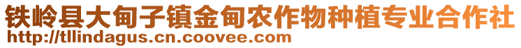 鐵嶺縣大甸子鎮(zhèn)金甸農(nóng)作物種植專業(yè)合作社