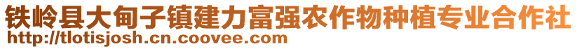 鐵嶺縣大甸子鎮(zhèn)建力富強(qiáng)農(nóng)作物種植專業(yè)合作社