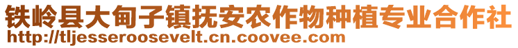 鐵嶺縣大甸子鎮(zhèn)撫安農(nóng)作物種植專業(yè)合作社