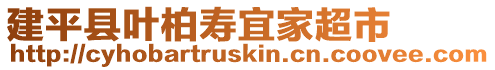 建平縣葉柏壽宜家超市