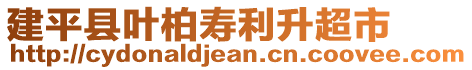 建平縣葉柏壽利升超市