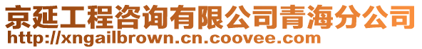 京延工程咨询有限公司青海分公司