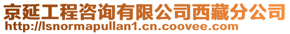 京延工程咨询有限公司西藏分公司