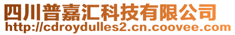 四川普嘉匯科技有限公司