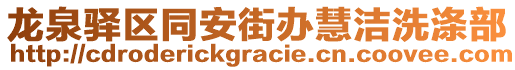 龍泉驛區(qū)同安街辦慧潔洗滌部