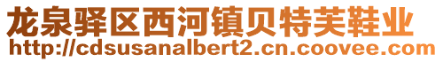 龍泉驛區(qū)西河鎮(zhèn)貝特芙鞋業(yè)