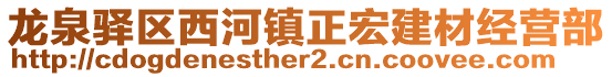 龍泉驛區(qū)西河鎮(zhèn)正宏建材經(jīng)營(yíng)部