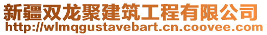 新疆雙龍聚建筑工程有限公司