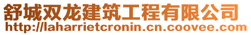 舒城雙龍建筑工程有限公司