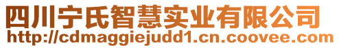 四川寧氏智慧實業(yè)有限公司