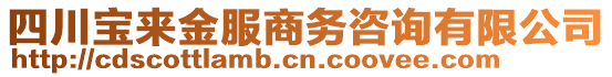 四川寶來金服商務(wù)咨詢有限公司