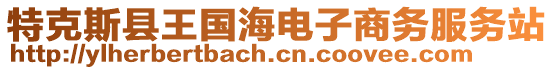 特克斯縣王國(guó)海電子商務(wù)服務(wù)站