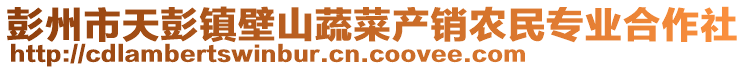 彭州市天彭鎮壁山蔬菜產銷農民專業合作社