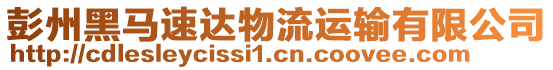 彭州黑馬速達(dá)物流運(yùn)輸有限公司