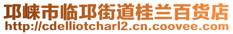 邛崍市臨邛街道桂蘭百貨店