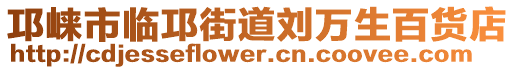 邛崍市臨邛街道劉萬生百貨店