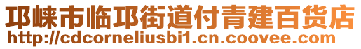 邛崍市臨邛街道付青建百貨店