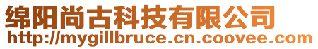 綿陽(yáng)尚古科技有限公司