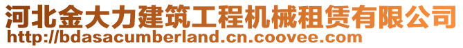 河北金大力建筑工程機(jī)械租賃有限公司