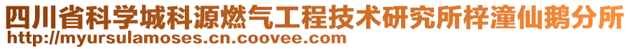 四川省科学城科源燃气工程技术研究所梓潼仙鹅分所