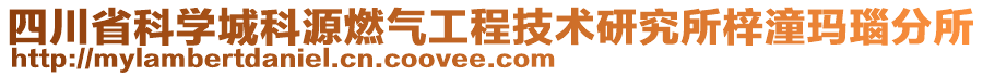 四川省科学城科源燃气工程技术研究所梓潼玛瑙分所