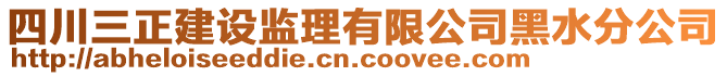 四川三正建設(shè)監(jiān)理有限公司黑水分公司