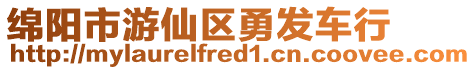 綿陽市游仙區(qū)勇發(fā)車行